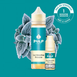 PULP LA MENTHE POLAIRE 50ML